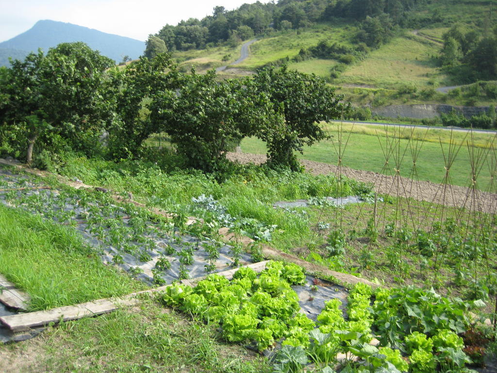 Casa Rural Garabilla Llanteno Kültér fotó